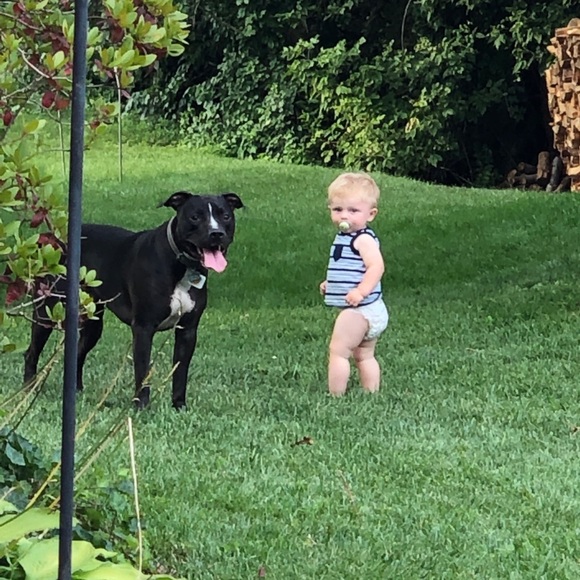 Meet the Posher - Picture 5 of 6